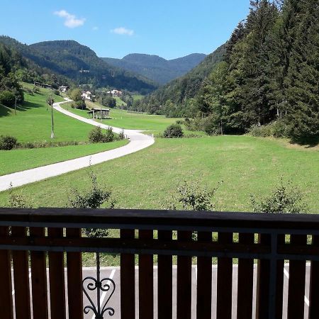 Simnovi Apartmaji - Surrounded By Nature كامنيك المظهر الخارجي الصورة